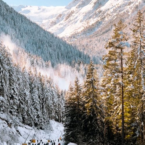 0f4b4e4c5fb88793e7877e946feb6135