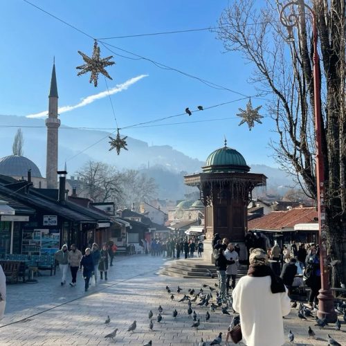 221b000505edb21e3a2b6a60953f741b