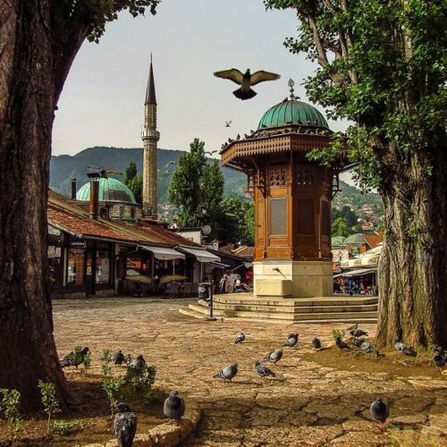 37d795ab39513b377cbb88aab8a1ebac (4)