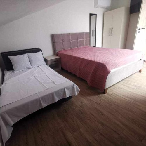 445382834_1196914128356896_5931492902083501594_n