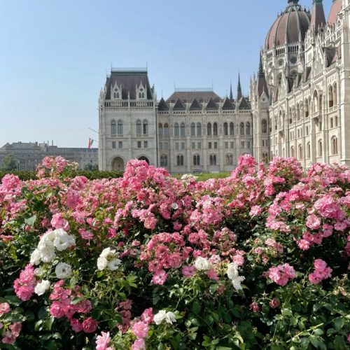 457e39c8aa292444c3f04bd4a13fc3d6