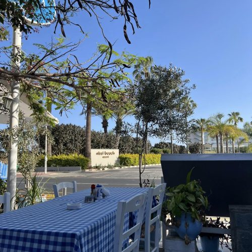 499921976_1176954821143145_4607894540861553330_n