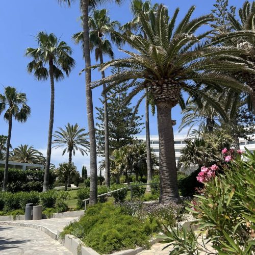 499926014_1176955034476457_8335130887569497449_n