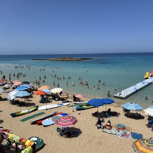 501114942_1176954697809824_5385509360603326246_n