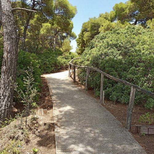 PATH TO THE BEACH