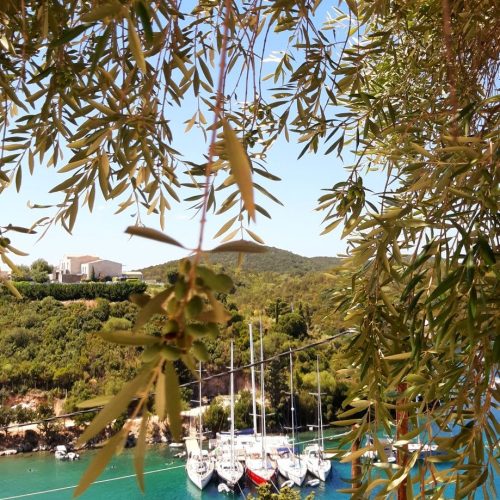 cddae694db3492c49dc90c32f07cece2