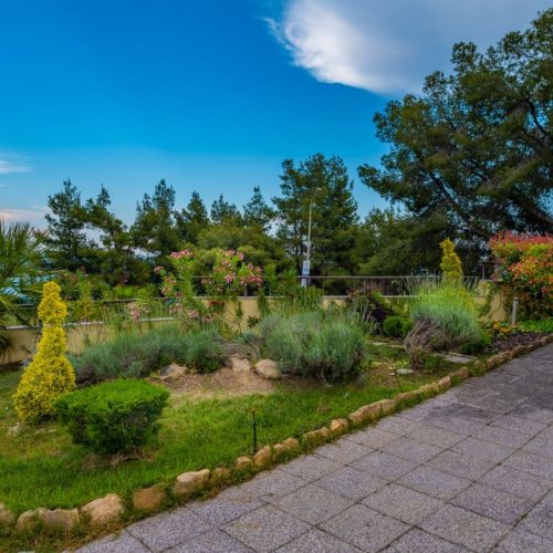 maya-bay-opshto-37736 (1)