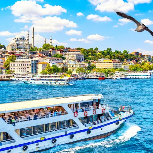 Touristic sightseeing ships in Golden Horn bay of Istanbul and view on Suleymaniye mosque with Sultanahmet district. Seagull on the foreground. Istanbul, Turkey during sunny summer day