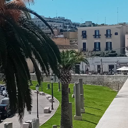 viber_image_2025-11-12_14-20-51-701