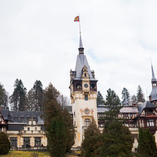 viber_image_2025-12-09_15-45-18-406