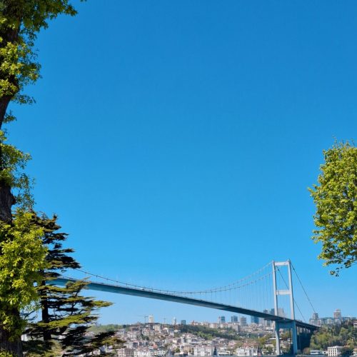 viber_image_2026-01-29_16-38-40-487