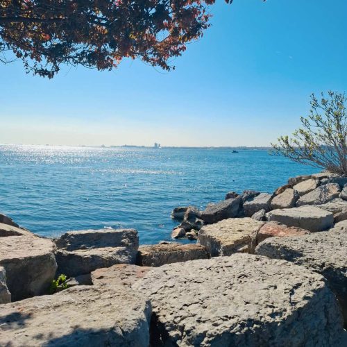 viber_image_2026-01-30_15-51-32-240