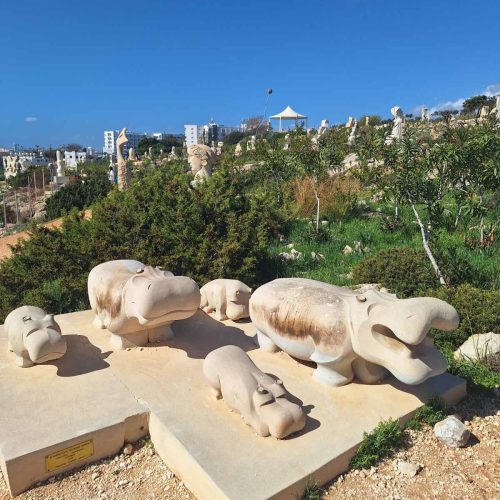 viber_image_2026-02-17_08-57-24-788